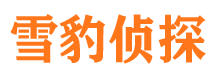 罗定找人公司